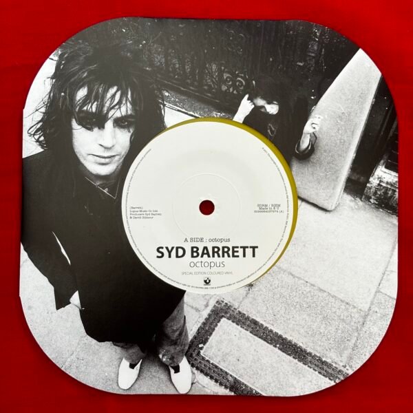 Syd barret - the photograph of mick rock - Image 3