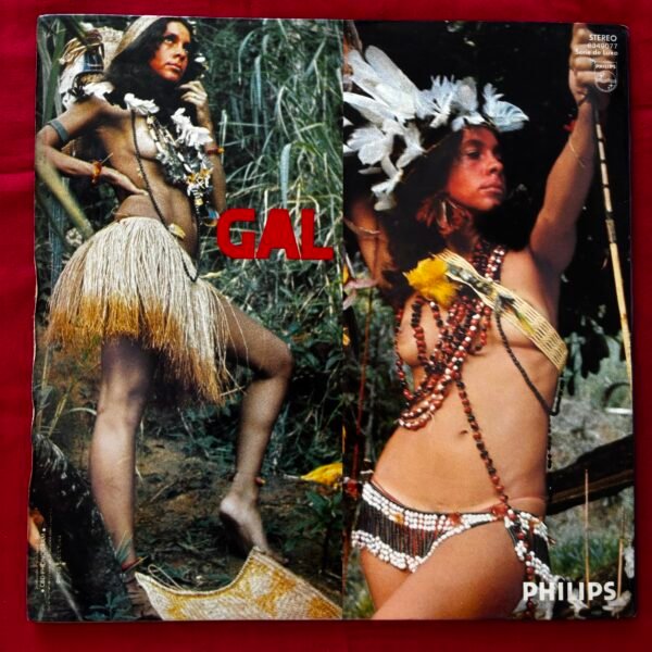 Gal costa - Índia - Image 7