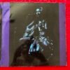 Gal costa - Índia - Image 6