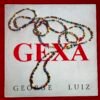 George luiz - Gexá