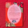 LIVRO HANS POKORA 3001 – RECORD COLLECTORS DREAMS - Image 2